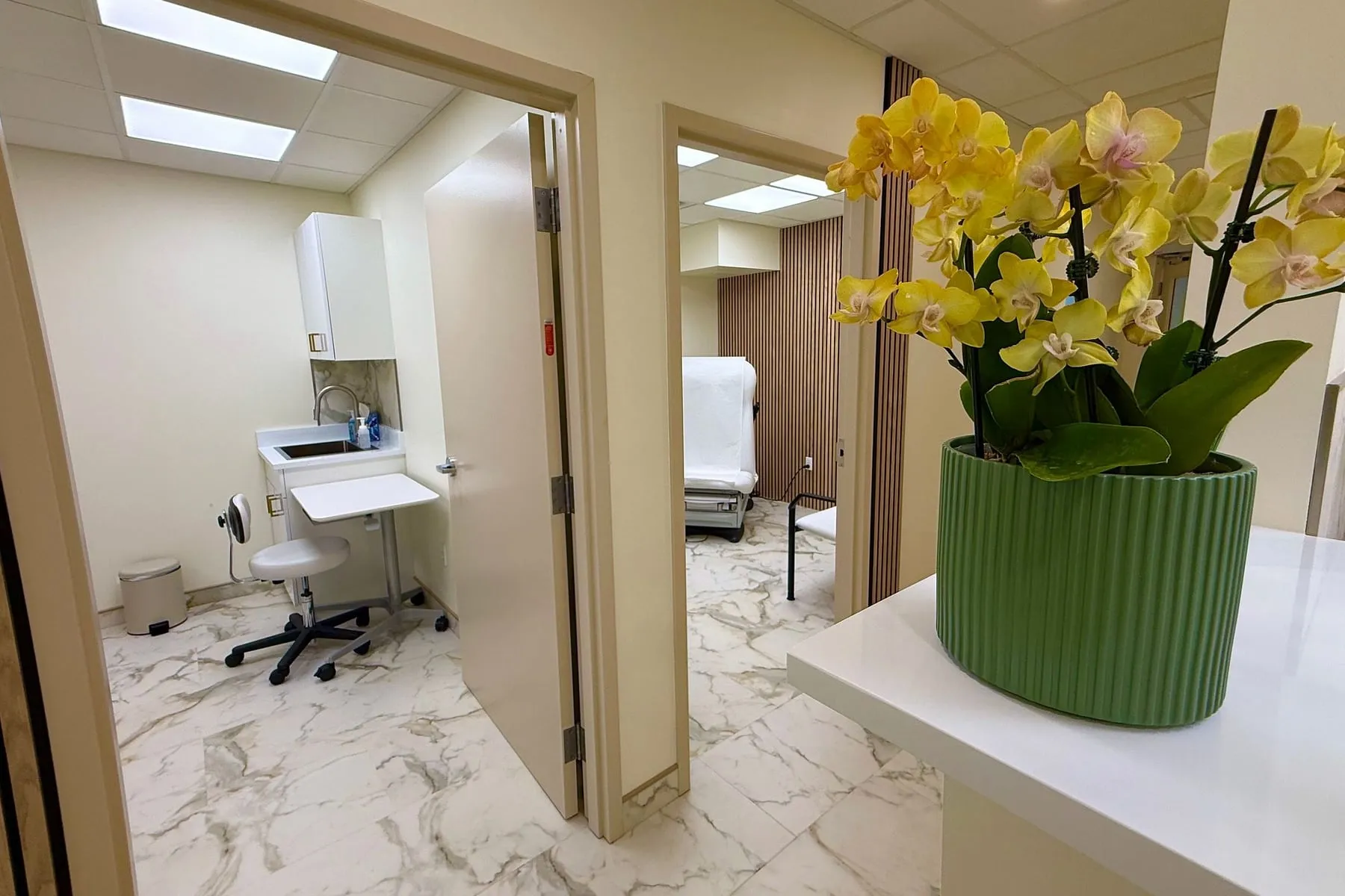 The corridor between rooms: an orchid on a white counter in the foreground, an examination room door standing open on the left, and a second room visible through a doorway beyond.