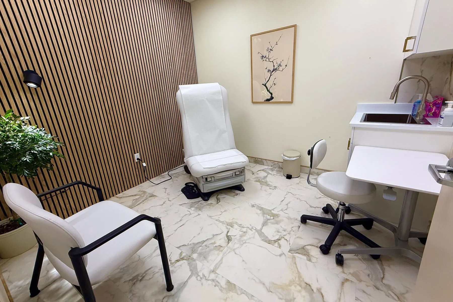 An examination room seen from the doorway: a slatted wood wall along the left, an examination chair beneath a framed blossom print, and a sink and counter at the right.