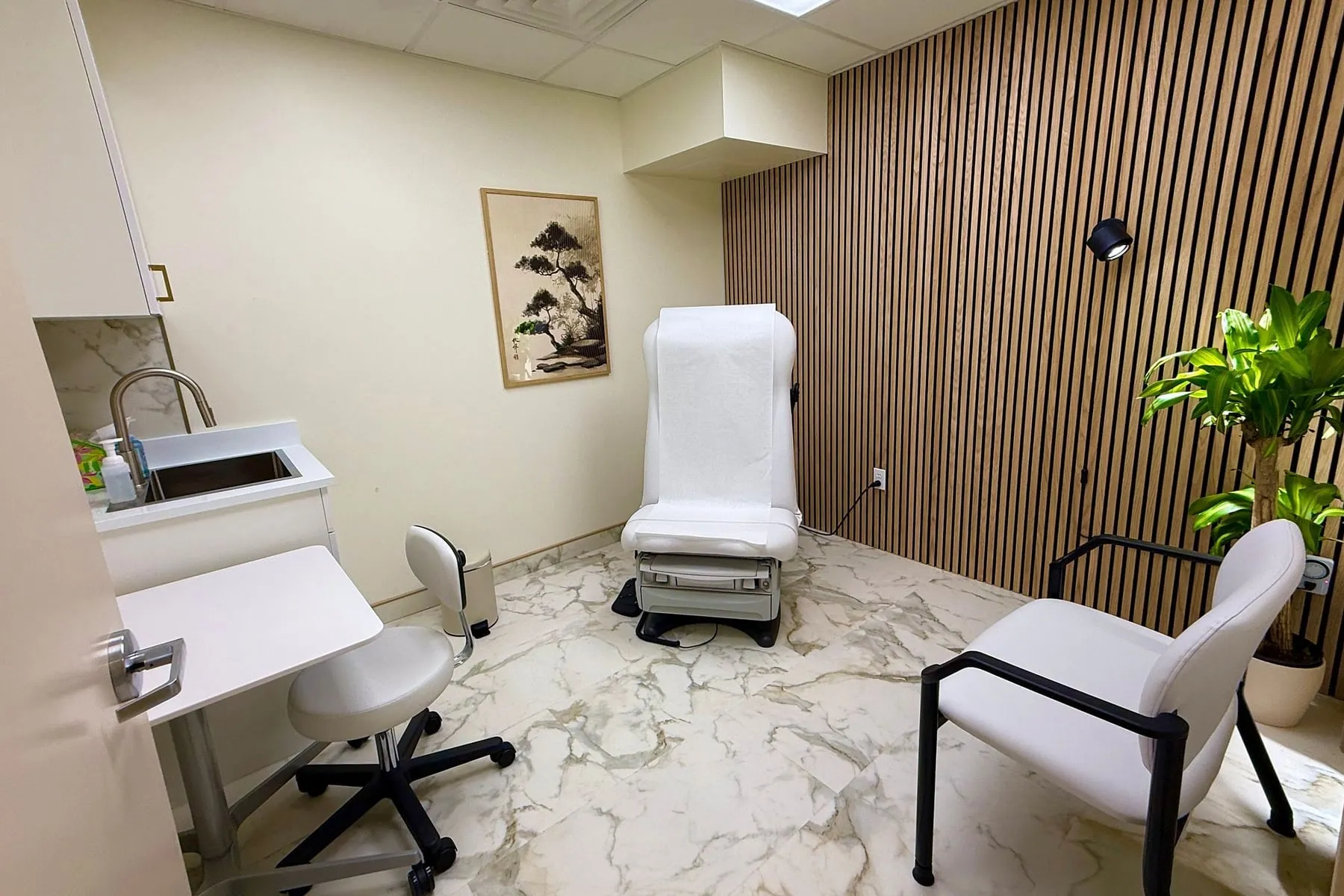 An examination room: a sink and counter along the left wall, an examination chair in the centre below a framed print, and a slatted wood wall with a tall plant and a visitor chair on the right.